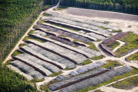 Boreal forest trees clear felled to make way for a new tar sands mine north of Fort McMurray, Alberta, Canada.