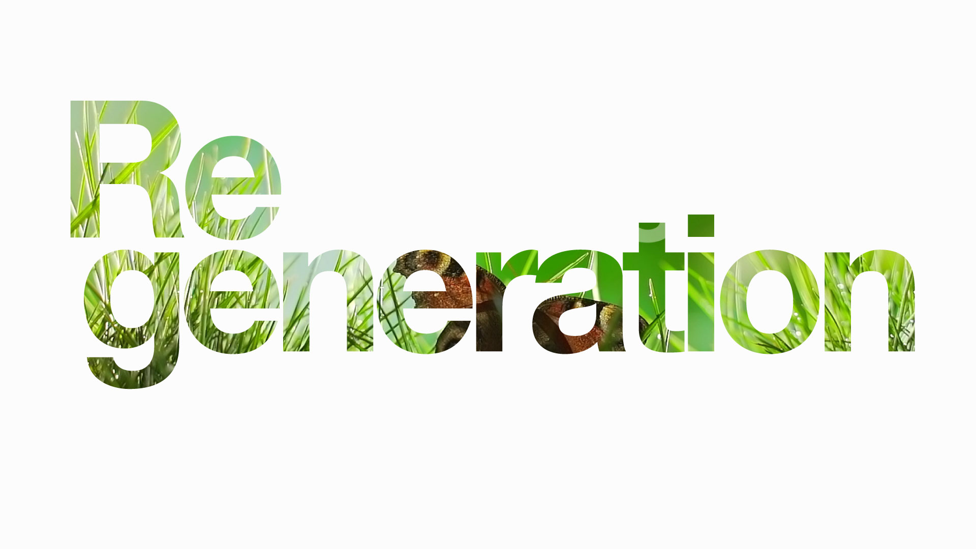 Home Project Regeneration