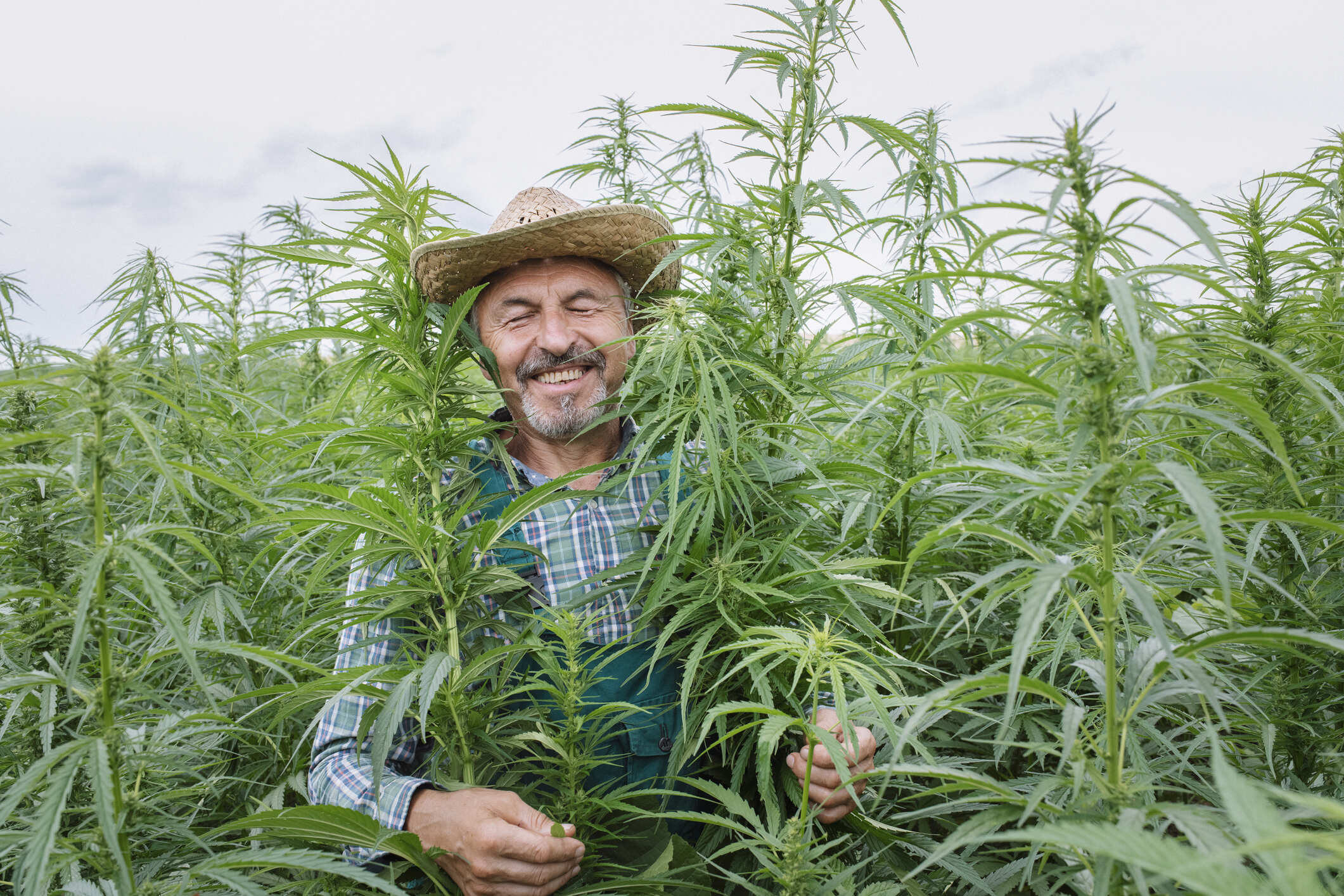 Hemp Farmer smiling in a hemp field.