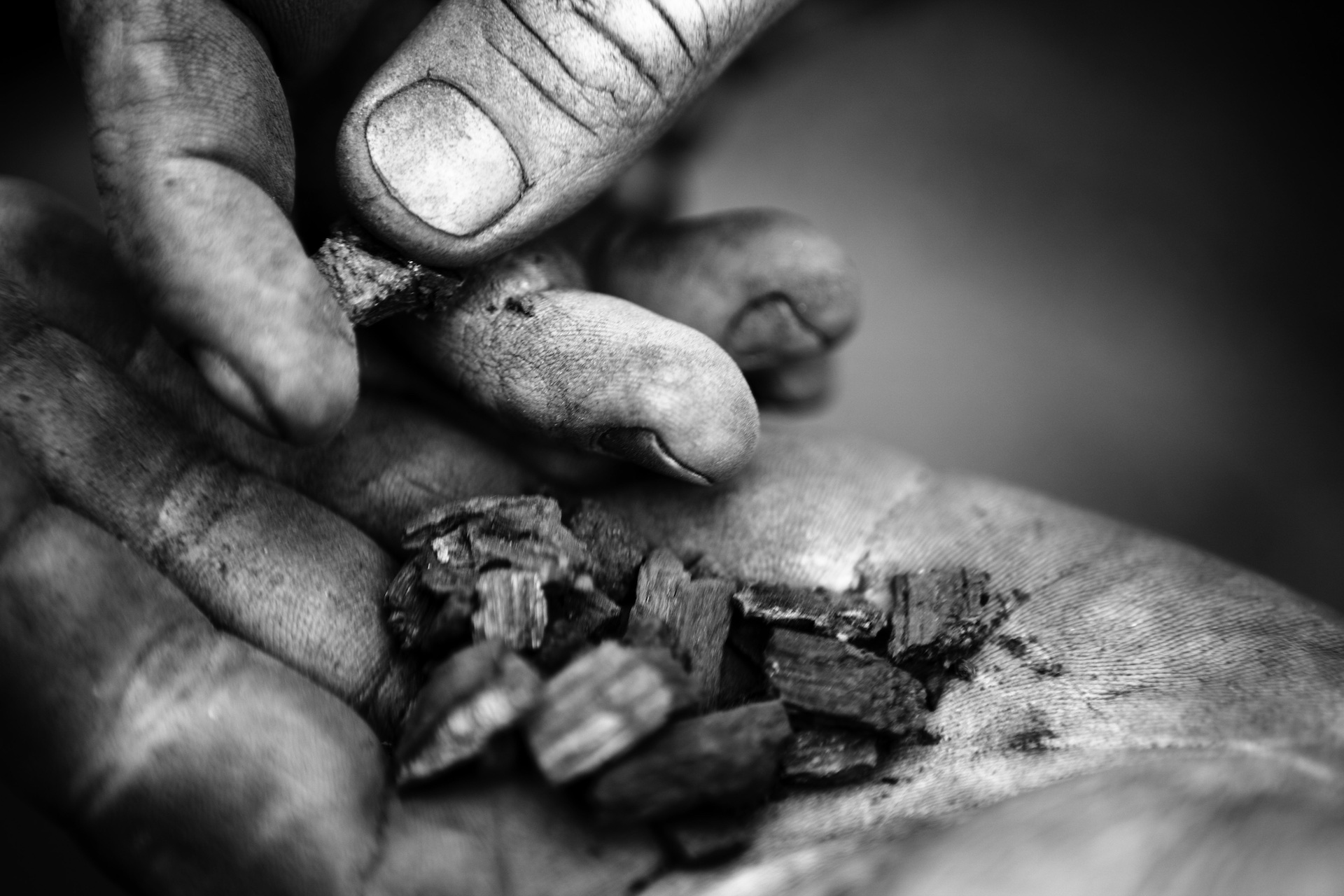 Black and white photo of two hands holding biochar made from chicken waste and woodchips.