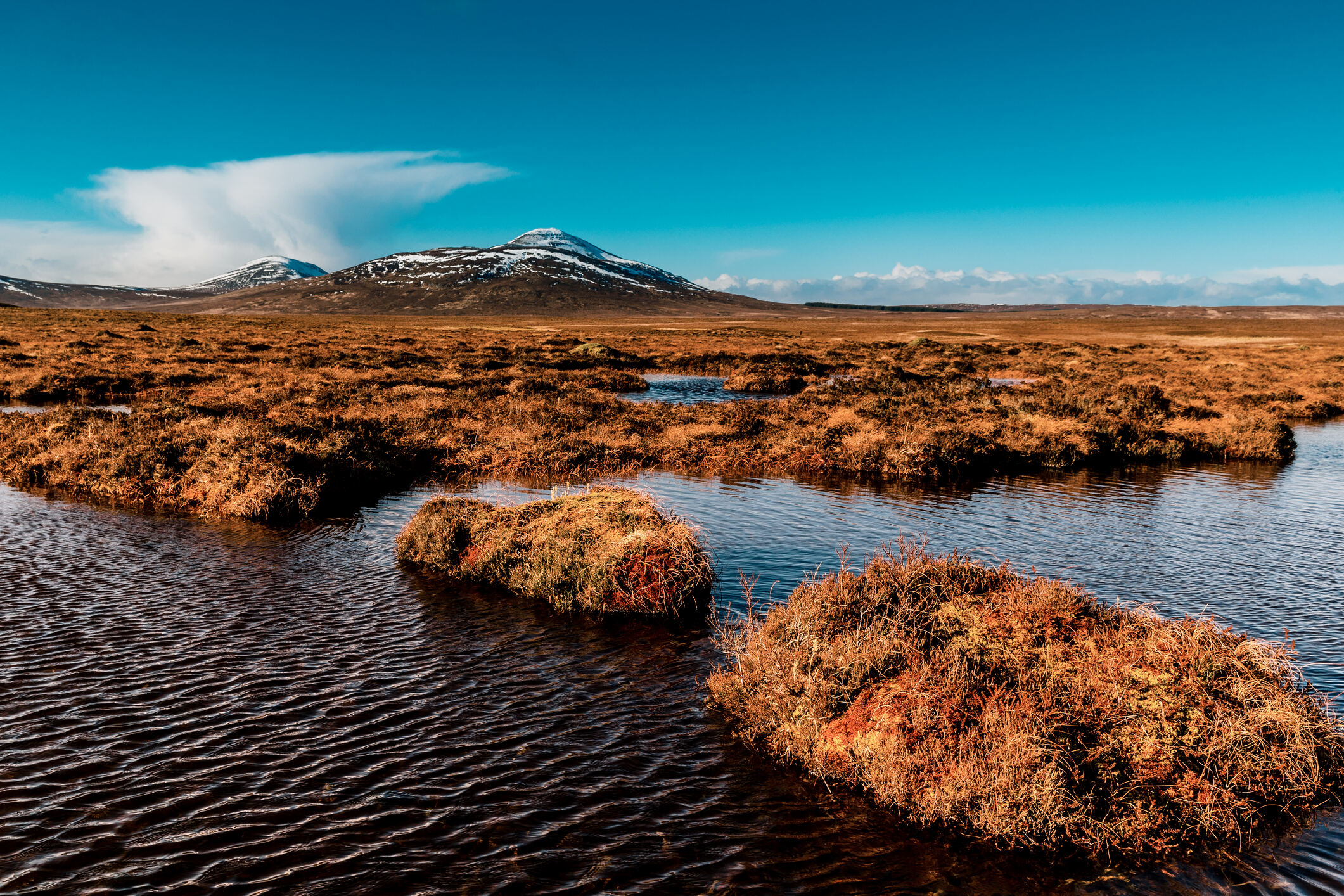 View over the peat bogs towards Ben Griam Beag, at Forsinard, in the Flow Country of the Sutherland region of Scotland.