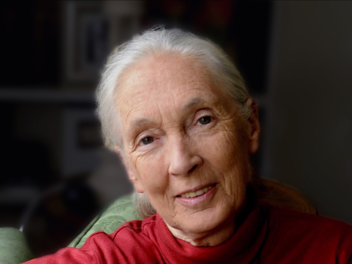 Headshot of Jane Goodall.