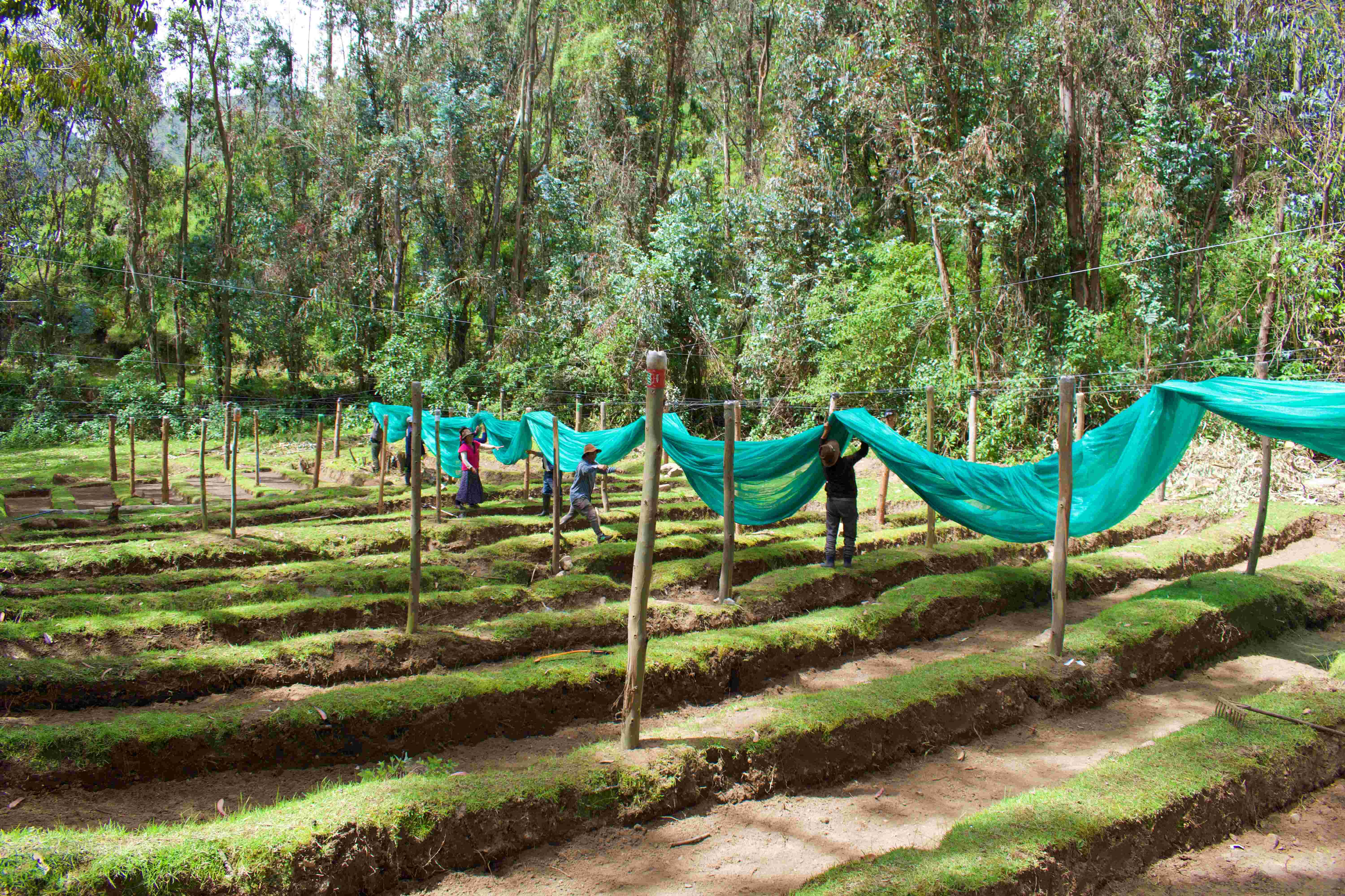 Land Protection | Project Regeneration