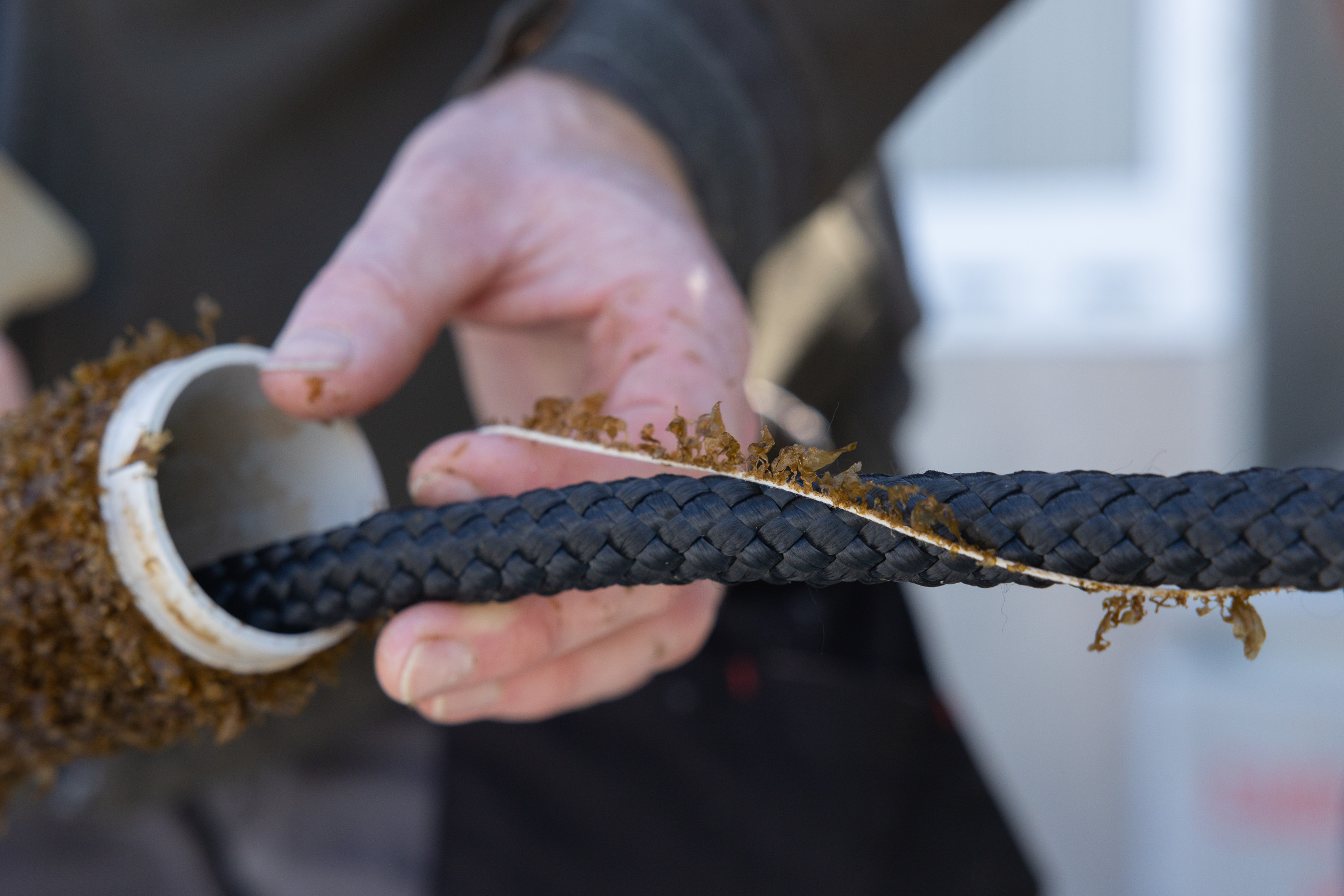 Aquaculture | Project Regeneration