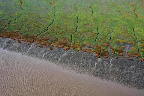 Aerial shot of the tidal wetlands and mud flats of South San Francisco Bay.