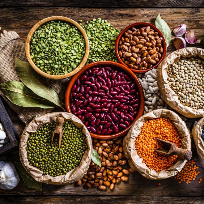A variety of seeds including green, yellow, and brown lentils, chickpeas, black beans, pinto beans, kidney beans, fava beans, mung beans, white beans, and soybeans on a rustic table.