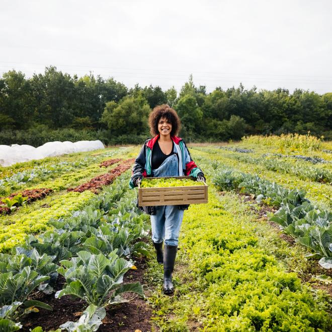 A woman carrying a crate of freshly harvested organic vegetables from her plot.