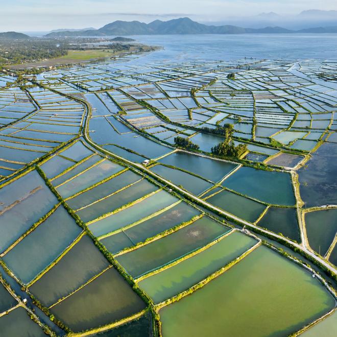 Aerial shot of aquaculture ponds in the Hue coastal lagoons, Vietnam.