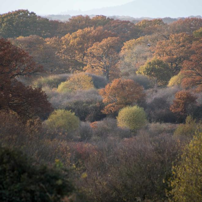 Wild landscape during autumn.