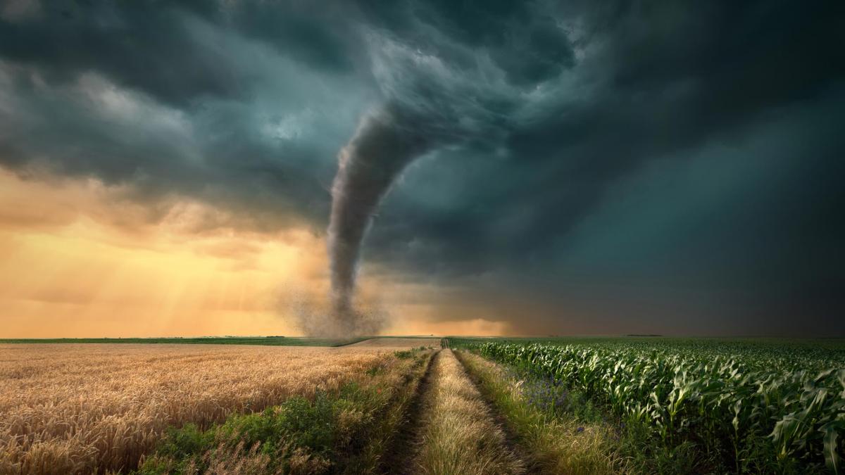 Tornado struck on agricultural fields at sunset