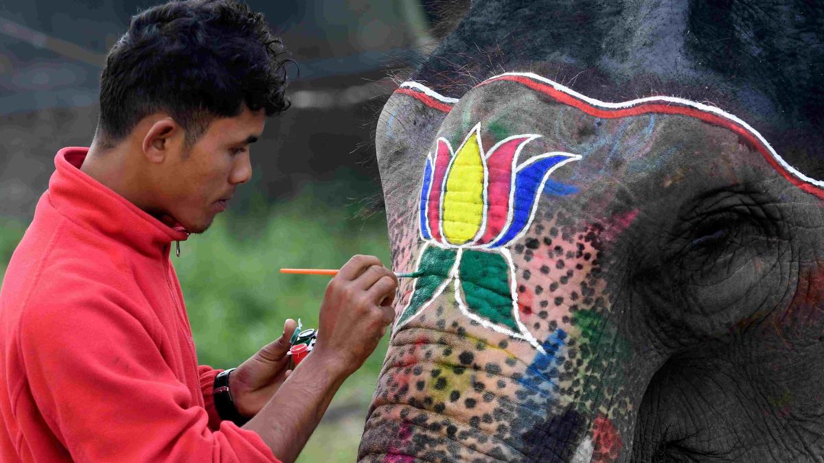 A mahout decorates his elephant before an elephant beauty pageant in Sauraha Chitwan, Nepal.