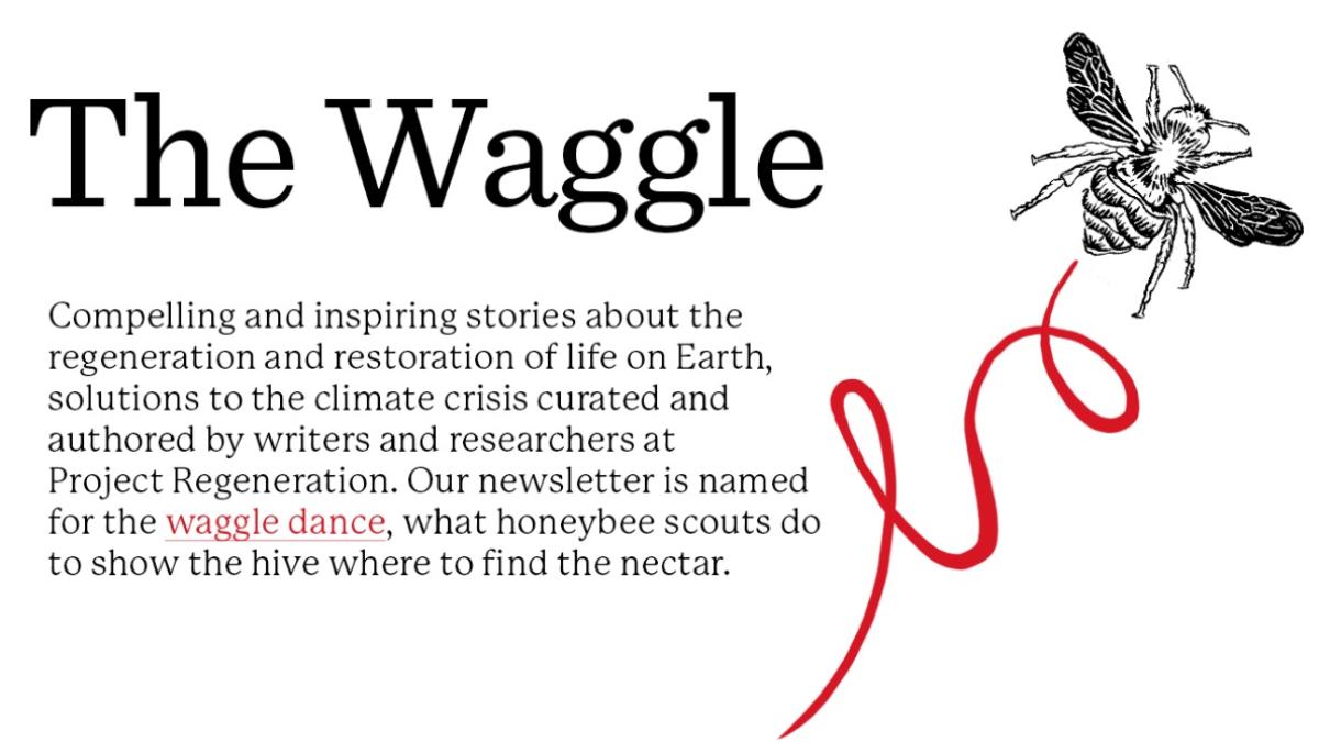 Compelling and inspiring stories about the regeneration and restoration of life on earth.