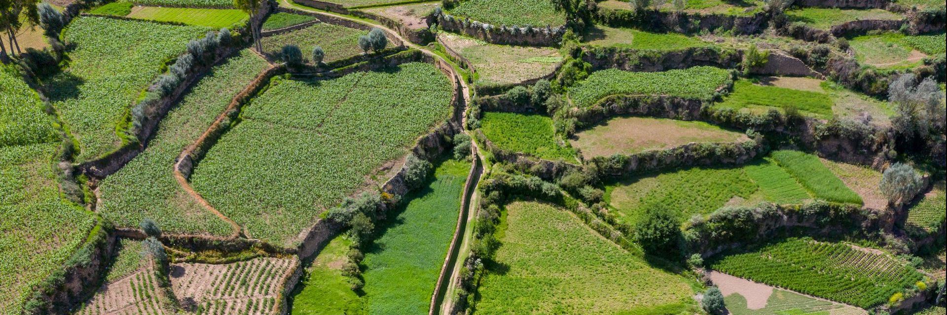 Andenes or platforms for agriculture in Peru.