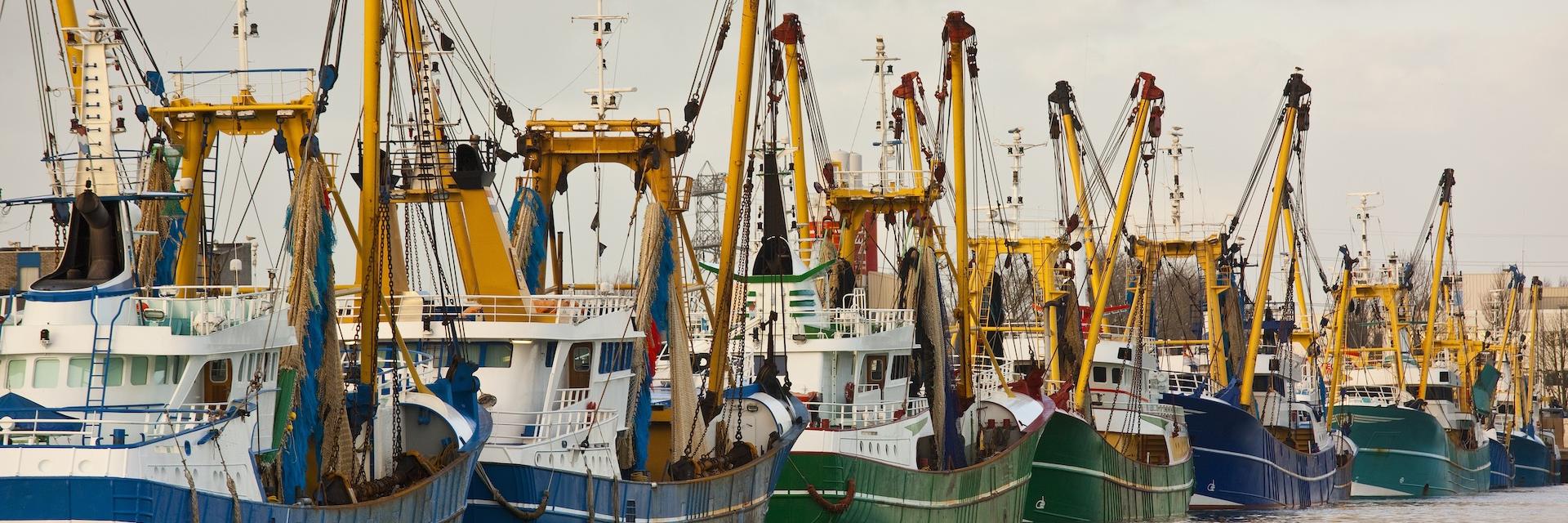 Global Fishing Fleets