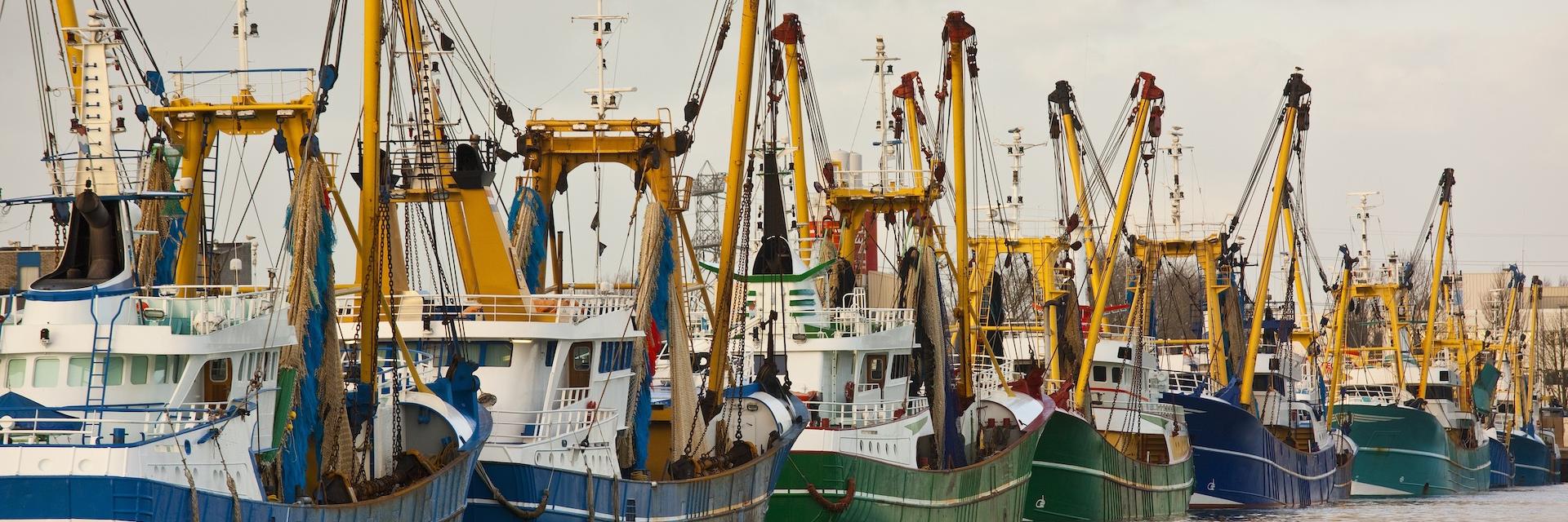 Shrimp Fishing Net Detail on Dutch Fishing Boat Stock Photo