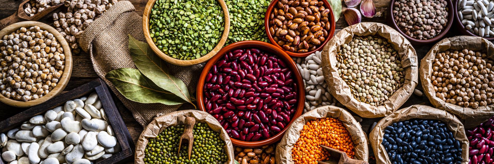 A variety of seeds including green, yellow, and brown lentils, chickpeas, black beans, pinto beans, kidney beans, fava beans, mung beans, white beans, and soybeans on a rustic table.