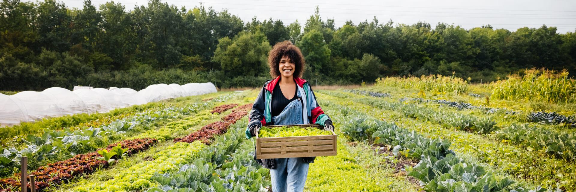 A woman carrying a crate of freshly harvested organic vegetables from her plot.