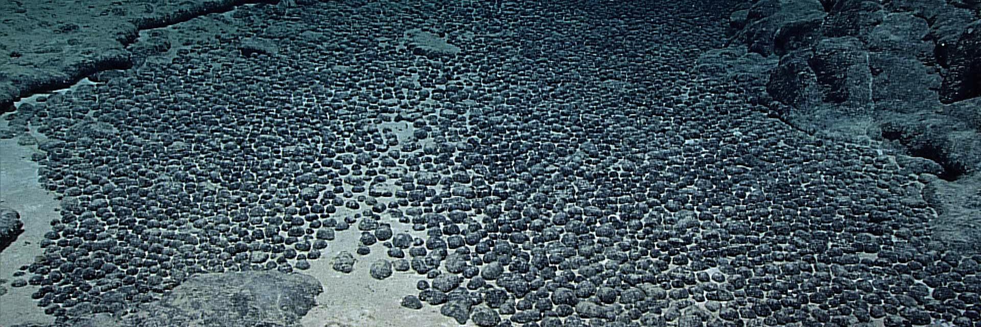 Polymetallic nodules on the the ocean floor. 