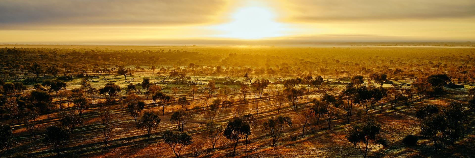 Yarra Yarra Biodiversity Corridor in Western Australia