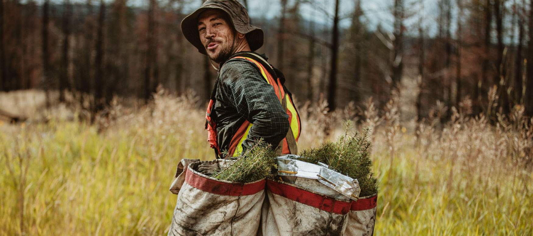 A picture of “Johnny Pineseed” near Williams Lake, British Columbia, Canada